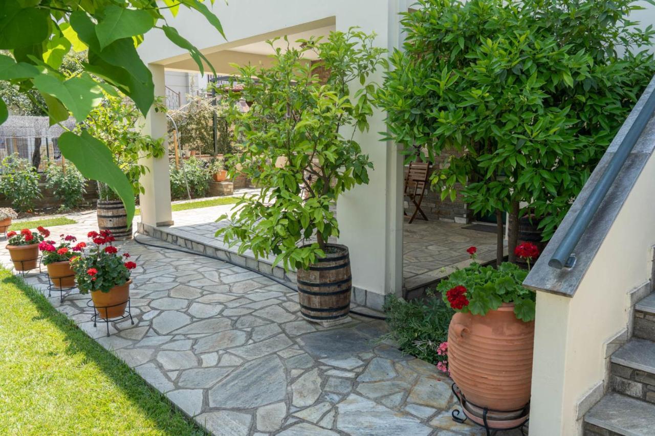 הוילה Wonderful House In Leptokarya מראה חיצוני תמונה